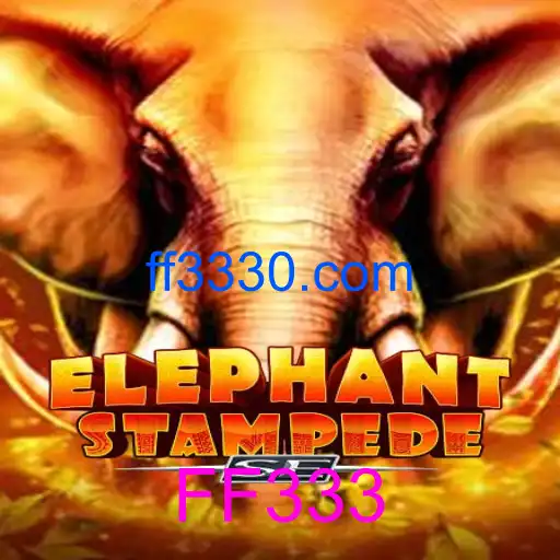 ElephantStampedeSE